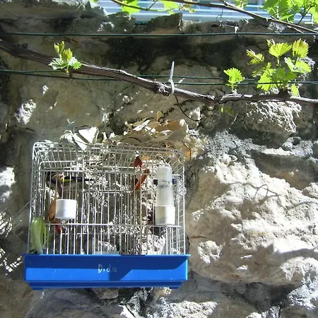 Apartment Apartments Villa More Makarska