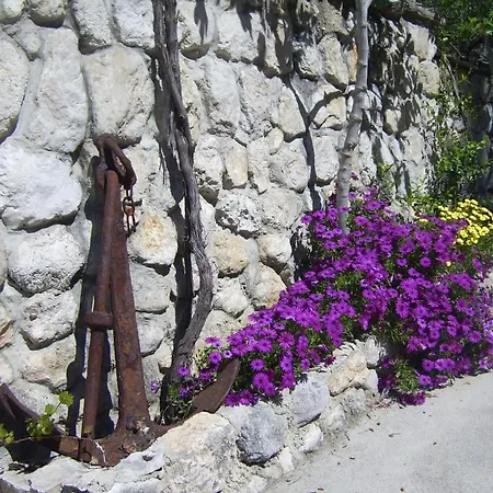 Apartments Villa More شقة *