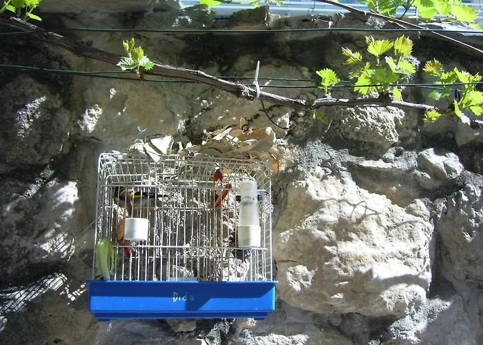 Daire Apartments Villa More Makarska